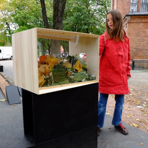 put leaves in the box