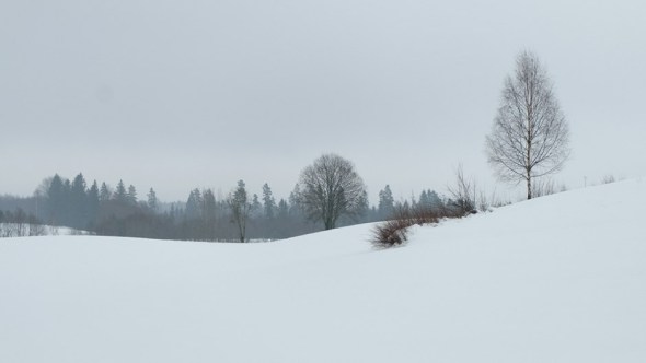 DSCF1922