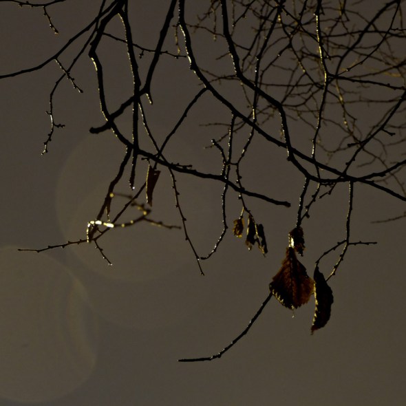 dscf0038