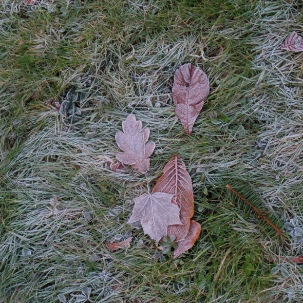 dscf0218