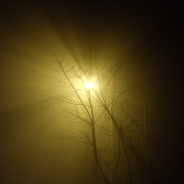 dscf0351