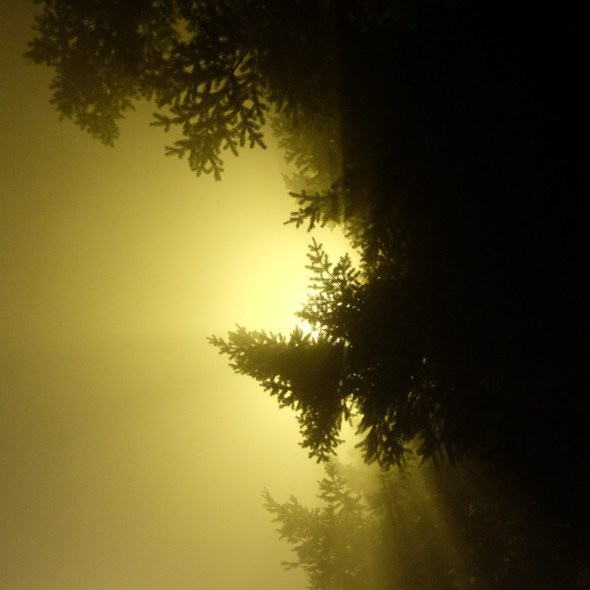 dscf0357