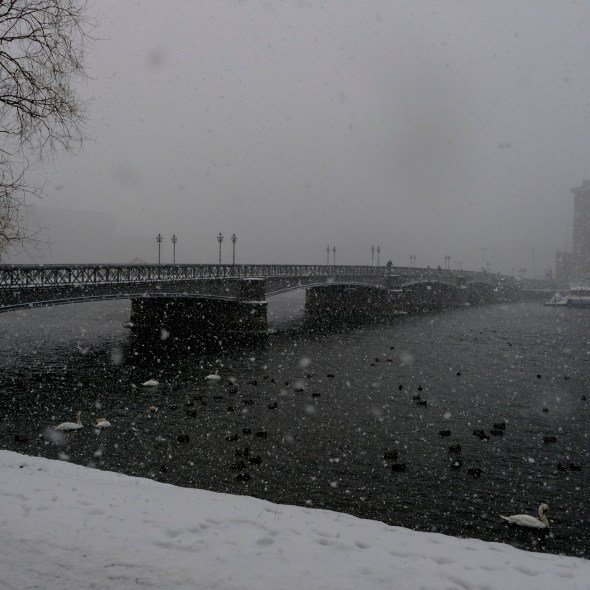 15243541-6B12-48CC-92CB-19EF3EB60591