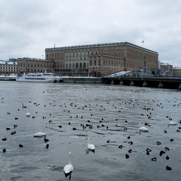 4DDD45E0-1D8C-4B4D-BEA1-140836442B7A