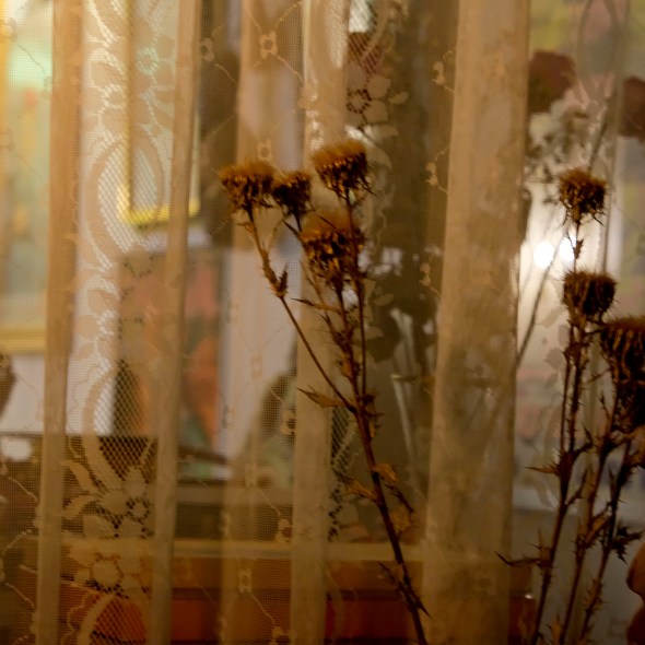 AE65E9A6-9851-4F3A-BF17-A42242E6634F