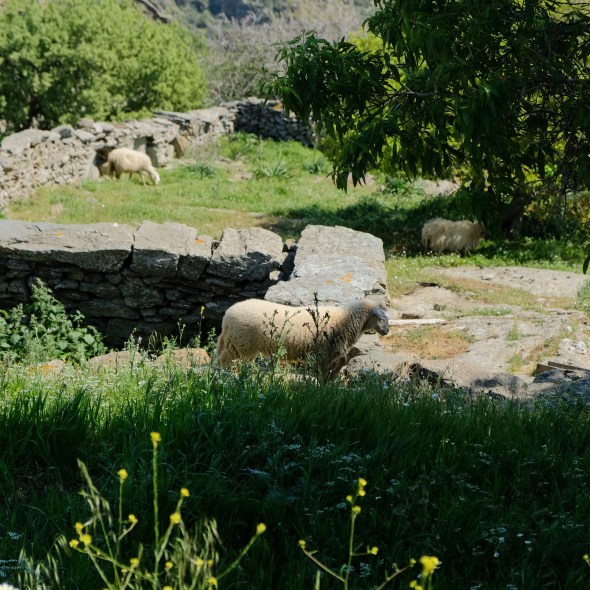 17659C0D-E5CE-46FE-9EF9-99C062CA5213