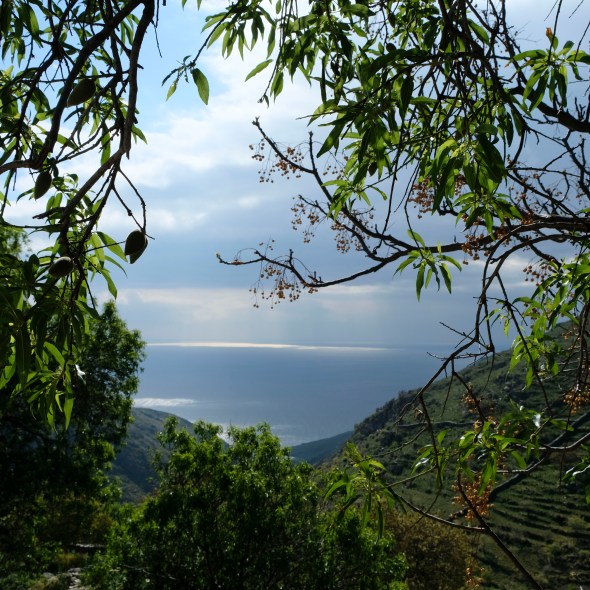 35833F78-A357-4D05-9FC1-77076F076805