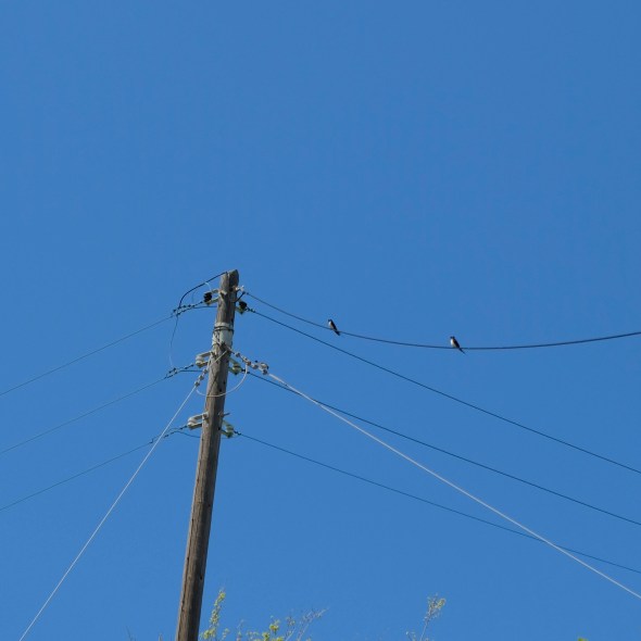 4875E16C-33FD-43FB-80F1-60069AA8E1B2