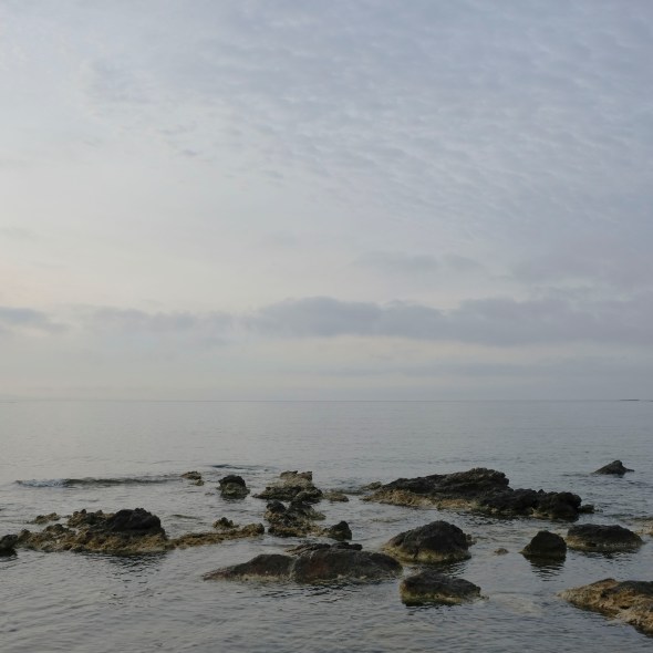 7D321B06-C72E-42D7-AC2B-10AFB9BADD7B