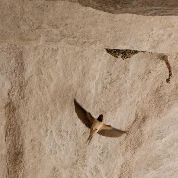 902E73C4-BCDD-4A9C-9110-D24AC9CA8502