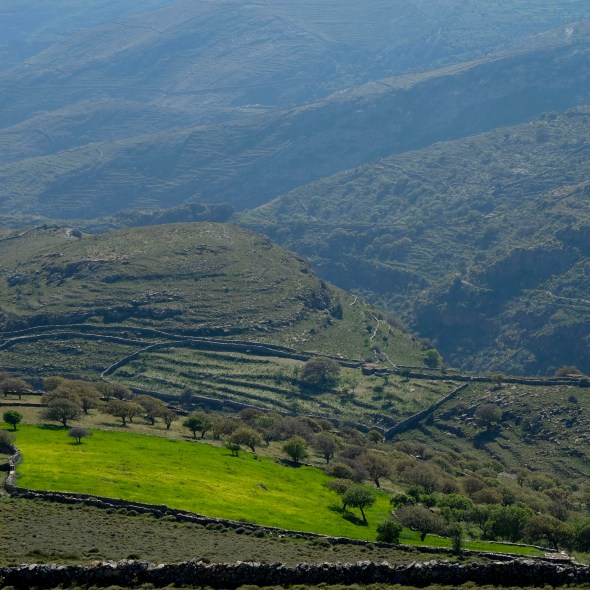 92DD95EB-EB12-4654-BE1C-830C4543ACB0