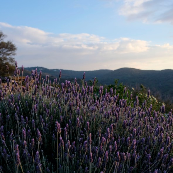 961C7B39-6F55-4D8B-BD08-D1CCD38DD09F