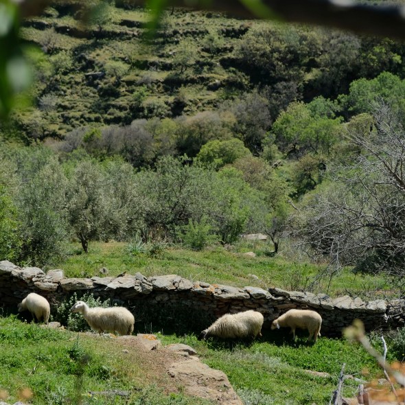 9D7E7836-4865-40FB-8485-6C0D93D35AF5