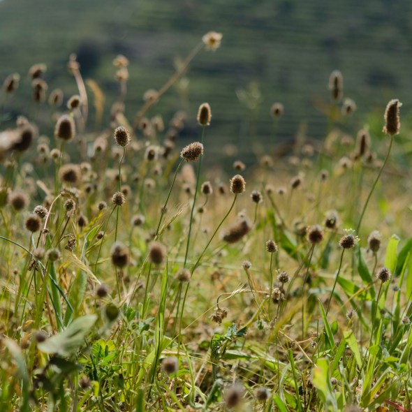 A0494306-DE4D-4854-A7DE-F52DE058CE5F