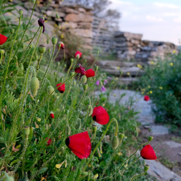 B5D81945-C511-4C9E-BBA2-D93000ACE65A