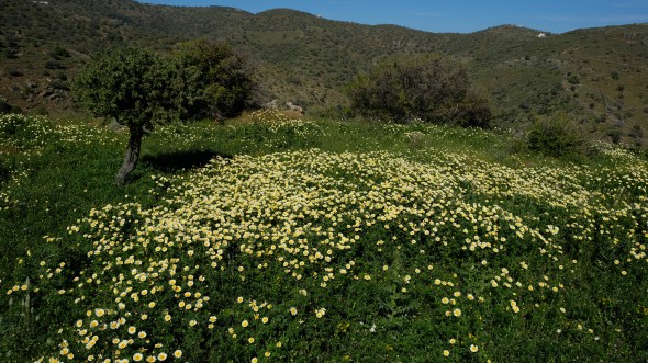 B7B3028F-5009-4850-B173-EA1545E98C6A