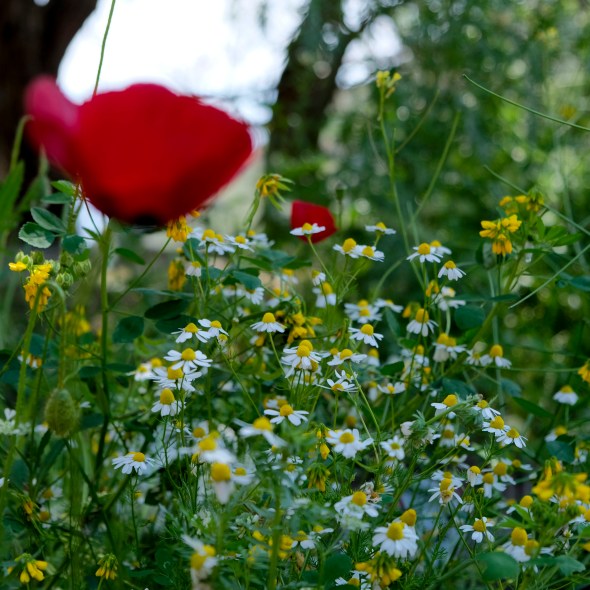 C2FC5453-999E-49F8-AE27-1FD2F5AD06A0