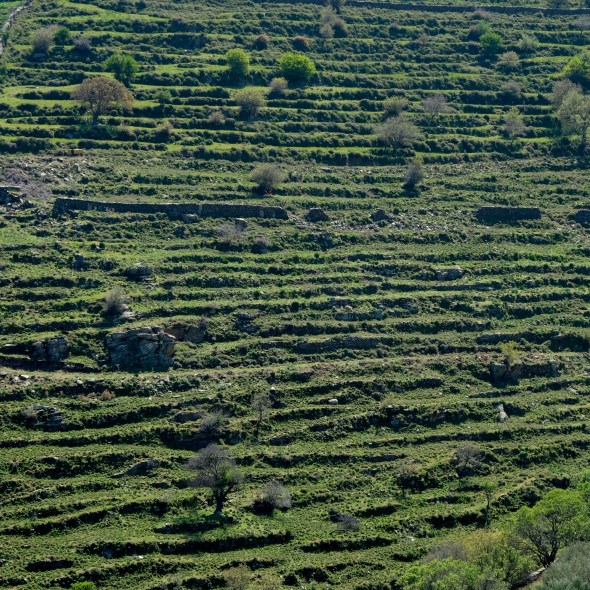 C685D3BB-54F3-44B1-A7E9-BA64524A9A7E