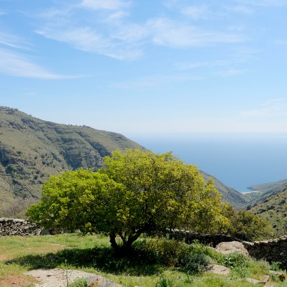 D5C7FC9B-6DE3-4560-811C-E81293005B3D