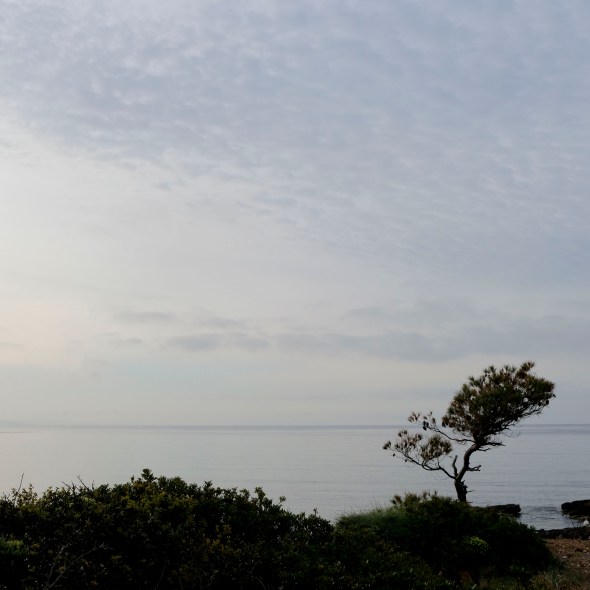 D8D8B7ED-3FC7-4AAC-8A6C-3D1EDAAED005