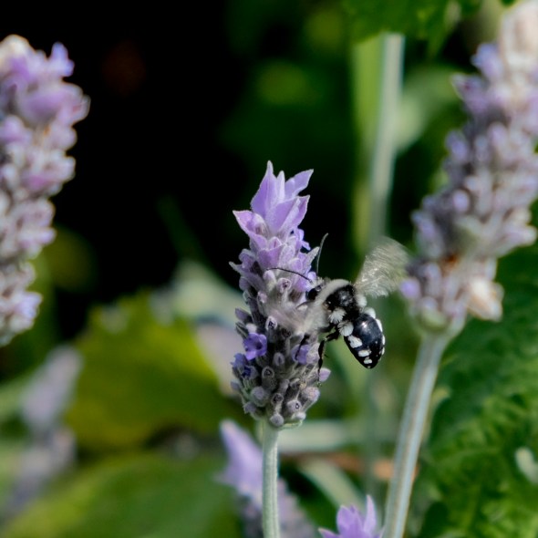 DB457893-FD74-434A-A6C6-48AAEC7D3D4A