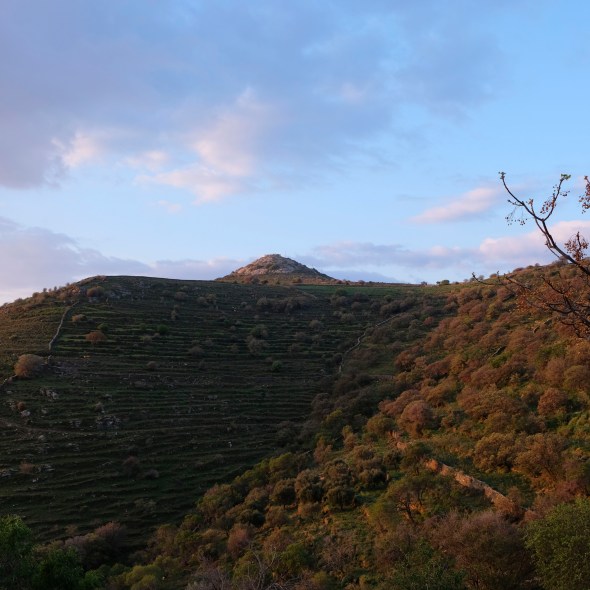 FA321FCE-E42B-4C64-9EA3-2D7730444461