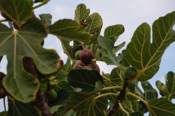 24BF1EE8-018C-4F7F-B9E3-F7F917600E14