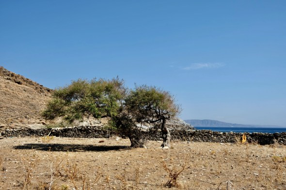 423B2D55-2A00-4280-8491-F0BFCC1DA5F4