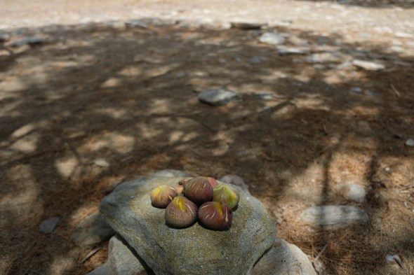 50F9DBD1-79BF-430E-BF73-26A487B8E1F8