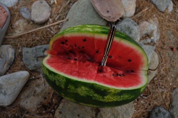 5E6A8DA2-869E-4F0D-9C35-F4DD4918A9A7