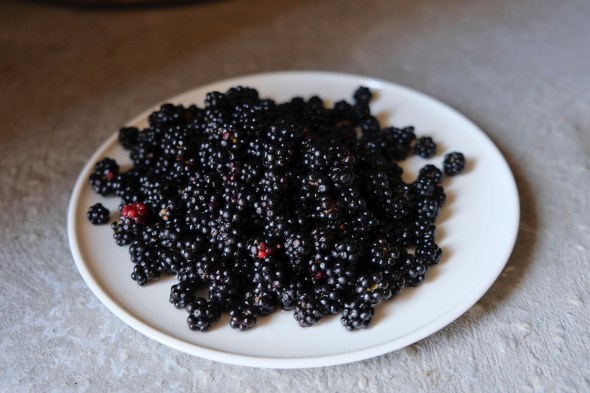 739D8CB3-8016-4B36-8D33-5E4965D68603