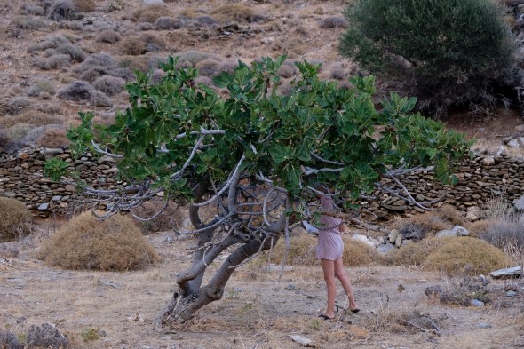 DBB08C0B-F04A-4C85-BF47-5090119783DA