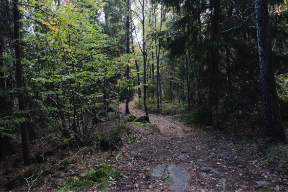 0216D352-524C-4DF8-B496-3839D6411896