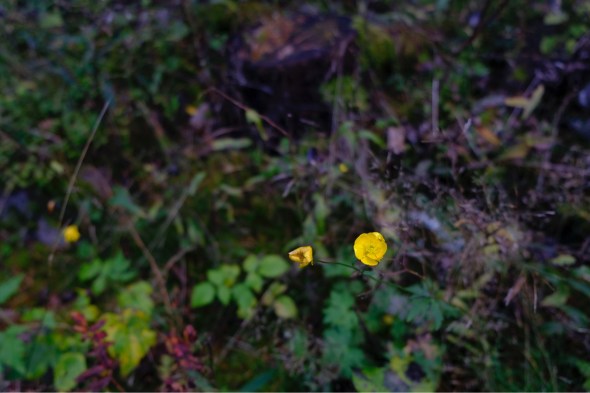 1E29C631-5802-4961-813C-8DBFCABF2DF5