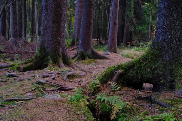 24C3114F-FAE6-48CB-B043-C1235E4F385B