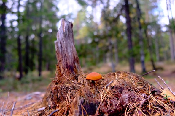 30B9257C-8452-428B-9C81-38ED8EA0E788