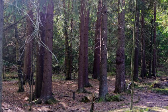 33BF2C2D-3DCF-401A-9B60-07E8F709785F