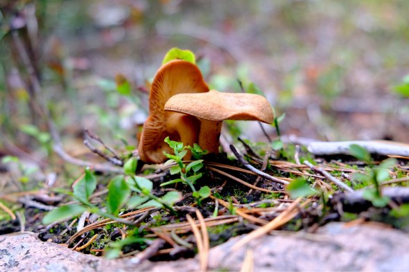 4DD47C93-E2BC-42C6-9213-6AFAAF69DEB5