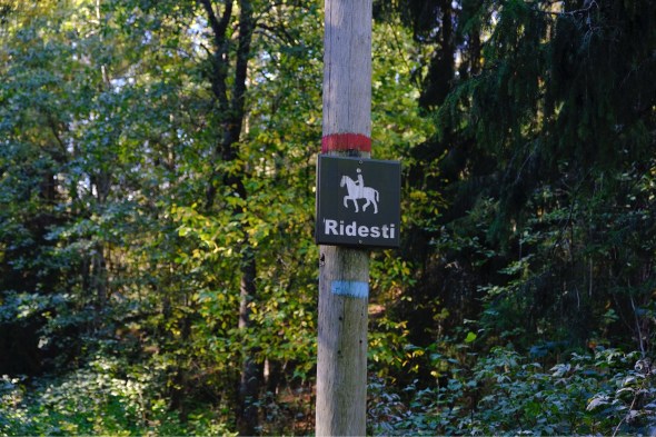 5AAEED06-5C5F-4BFC-81E2-B15F1CE861EF