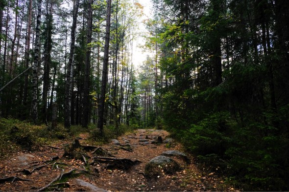 62CC01DA-6549-4EE3-A8FC-44F679E07FEF