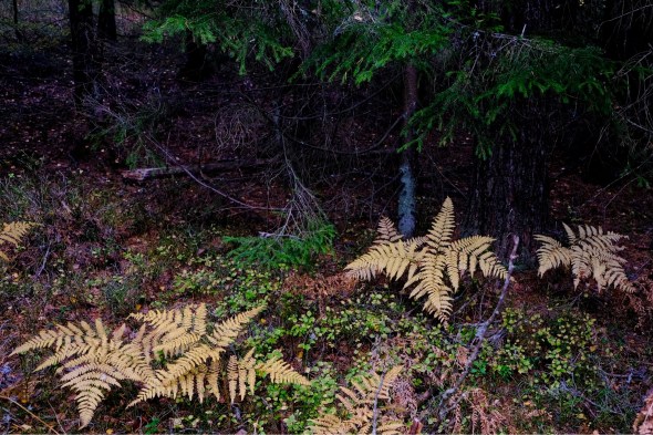 6DFDACE7-FF66-4B1A-8FB3-3B80747C3360