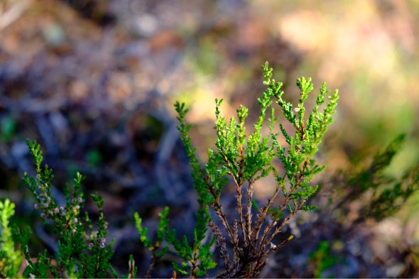 8E1F7A8F-4060-4920-AA13-D7D2B6ADB59D