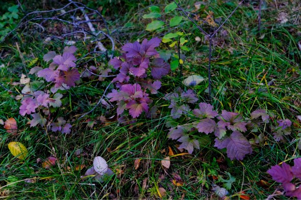 9FFE56C5-43ED-40DC-843B-90DB1D93BE86