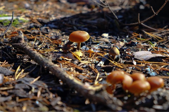 B19E66EC-9B28-4864-A7BD-06452BD5E9E4