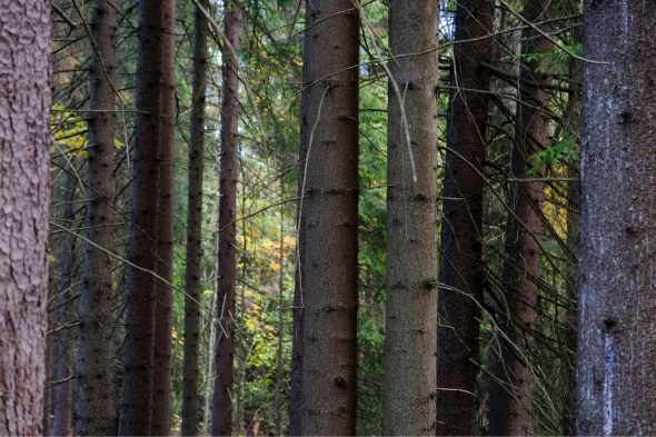 B8CB034B-01D6-41F8-BE5A-78EBE2A71C28