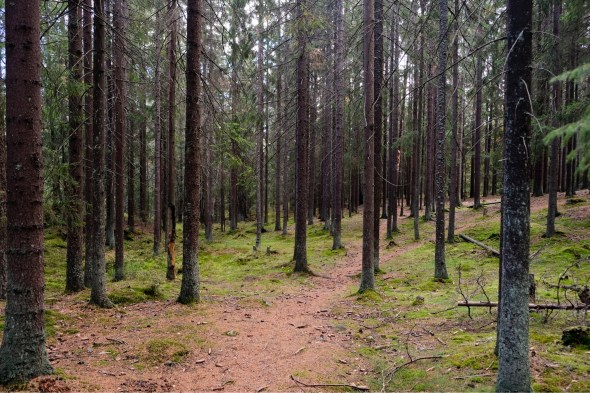 C43E0760-170F-4B43-AB86-1CF1A6295E24