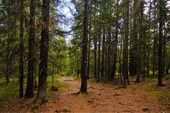 E352EEFD-8DB8-41D2-97BD-B997D271BA74