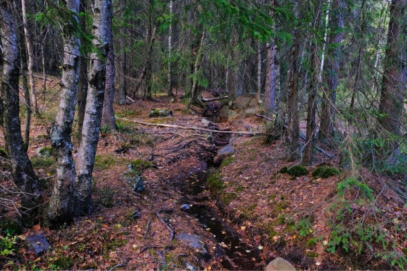 F780CFBD-0832-4F1D-8578-11BD7F4796C7