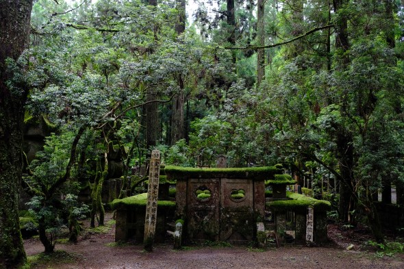 05CD9E55-2AD3-44F3-87B0-7E501AFDD3CC