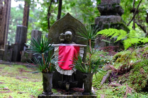 0A77612D-02EB-40BE-BB2D-2D69EDAE2B45